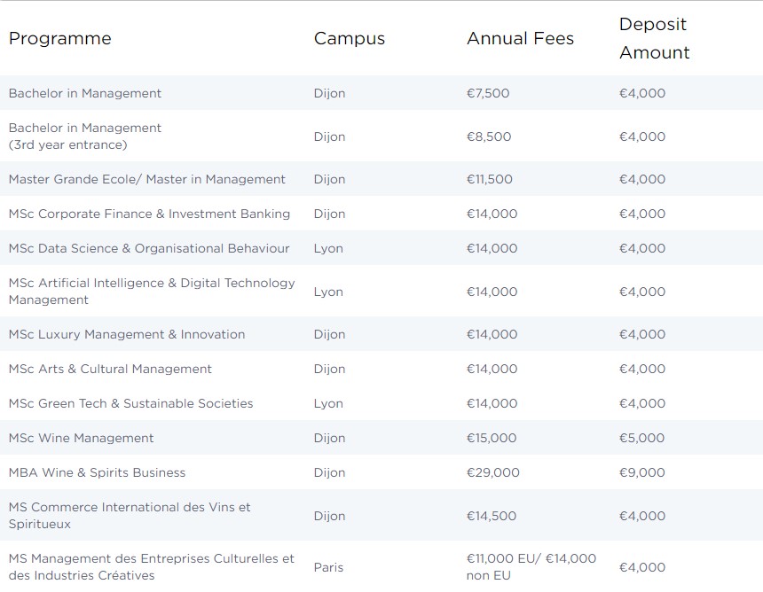 Tuition fees for BSB programmes 2021